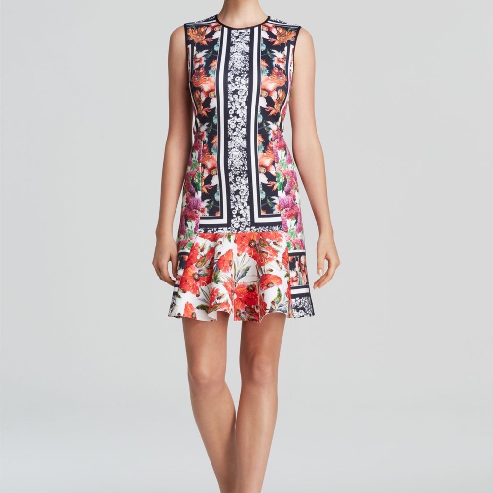 Clover Canyon Floral Garden Scarf dress